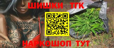 тгк Гатчина