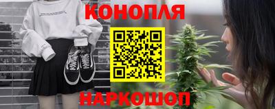 стафф Гай