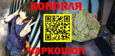 стафф Гай