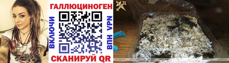 Псилоцибиновые грибы мухоморы  ссылка на мегу ссылка  Тавда 