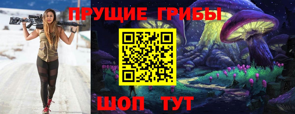 Галлюциногенные грибы GOLDEN TEACHER  Вход с VPN  Тавда 